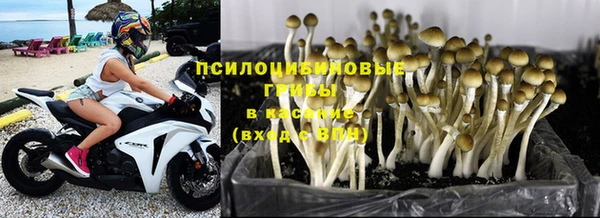 спайс Елизово