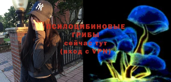 2c-b Елабуга
