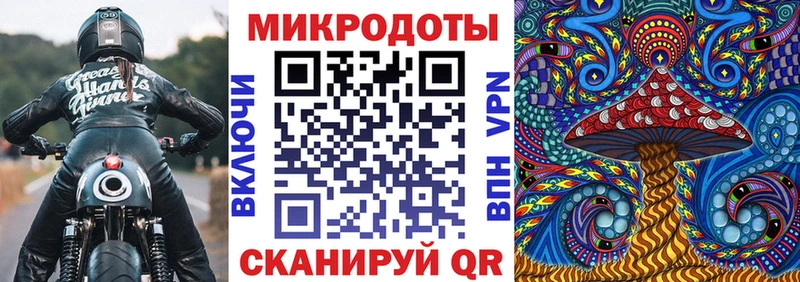 Купить где  Тулун  Галлюциногенные грибы Magic Shrooms 
